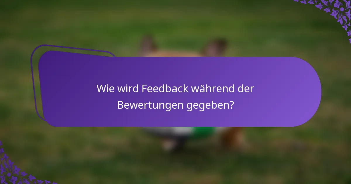 Wie wird Feedback während der Bewertungen gegeben?